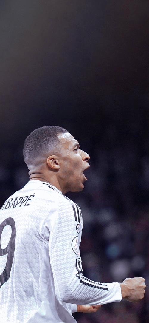 F1收官战正赛：维斯塔潘虽夺冠但无缘WDC；诺里斯加冕世界冠军